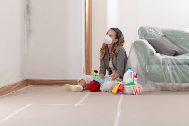 Reliable Mold Testing contractor in Upperco, MD by WQB Mold Removal